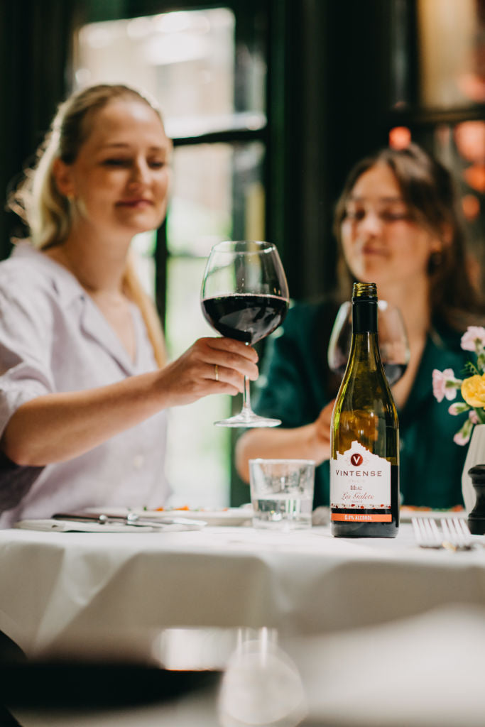 Vintense O°Rigin Les Galets 750ml - Alcohol Free Red Wine